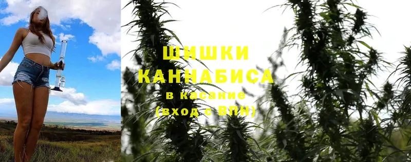 купить закладку  mega сайт  Бошки Шишки THC 21%  Гагарин 